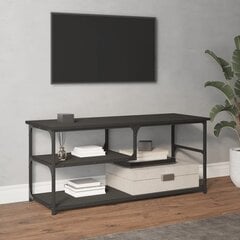 TV galdiņš, 103x38x46,5 cm, inženierijas koks, tērauds, melns cena un informācija | TV galdiņi | 220.lv