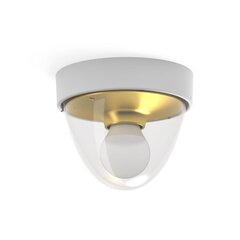 Āra lampa Nowodvorski NOOK 7970 cena un informācija | Āra apgaismojums | 220.lv