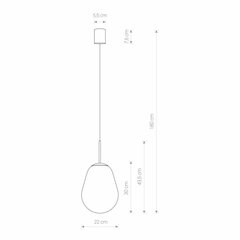 Подвесной светильник Nowodvorski PEAR S 8673 цена и информация | Люстры | 220.lv