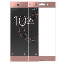 Calans Xperia XZ1 Compact cena un informācija | Ekrāna aizsargstikli | 220.lv