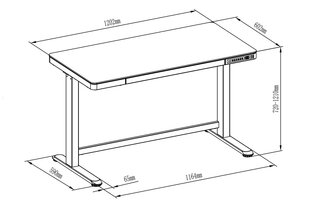 Электрический регулируемый стол Digitus DA-90406, белый цена и информация | Компьютерные, письменные столы | 220.lv