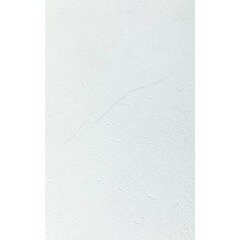 Grosfillex sienas flīzes Gx Wall+, 11 gab., akmens, 30x60 cm, baltas cena un informācija | Griestu, sienu dekoru elementi | 220.lv