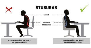 Ergonomisks bērnu krēsls Petit AA4, rozā/krāsains cena un informācija | Biroja krēsli | 220.lv