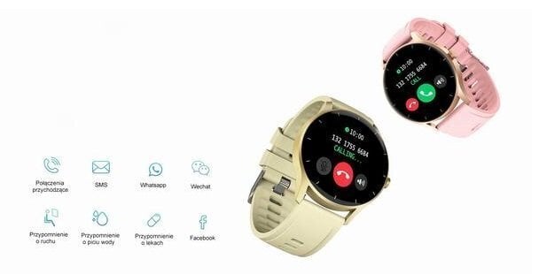 Gravity GT2-4 Gold цена и информация | Viedpulksteņi (smartwatch) | 220.lv