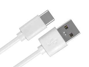 Кабель PS USB - USB Type-C 2 м цена и информация | Кабели для телефонов | 220.lv