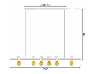 Metāla lampa Industrial Black APP480-6CP цена и информация | Люстры | 220.lv