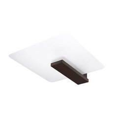 Plafond LAPPO wenge PEACH PUFF SL.1097 цена и информация | Потолочные светильники | 220.lv