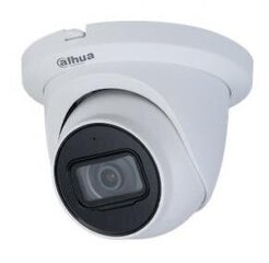 NET CAMERA 5MP IR EYEBALL/IPC-HDW2531TM-AS0280B-S2 DAHUA цена и информация | Камеры видеонаблюдения | 220.lv