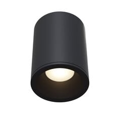 Maytoni Tehniskā griestu lampa Zoom C029CL-01B cena un informācija | Griestu lampas | 220.lv