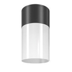 Griestu lampa Willis Maytoni Outdoor O418CL-01B cena un informācija | Āra apgaismojums | 220.lv