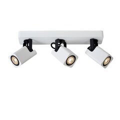 Lampa Roax 3 cena un informācija | Griestu lampas | 220.lv