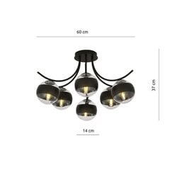 Emibig lampa Boston 6 Black/Stripe cena un informācija | Griestu lampas | 220.lv