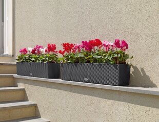 Lechuza puķu pods Balconera Citage 80, 19 cm cena un informācija | Balkona kastes | 220.lv