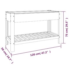 augstā puķu kaste ar plauktu, pelēka, 120x50x75 cm, WPC cena un informācija | Balkona kastes | 220.lv