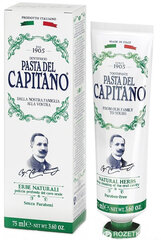 Zobu pasta Pasta Del Capitano Natural Herbs 75 ml cena un informācija | Zobu pastas, birstes | 220.lv