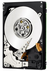 Toshiba 3TB 3.5" 7.2k SATA 6Gb/s 64MB 3.5" цена и информация | Жёсткие диски | 220.lv