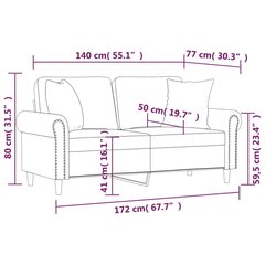 divvietīgs dīvāns ar spilveniem, gaiši pelēks, 140 cm, samts цена и информация | Диваны | 220.lv