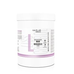 SALERM HAIRLAB LISS CONTROL STRAIGHTENING matu iztaisnošanas maska - 1000ml - LARGE + PUMP! !!!! cena un informācija | Matu kondicionieri, balzāmi | 220.lv