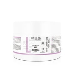 SALERM HAIRLAB matu iztaisnošanas maska LISS CONTROL STRAIGHTENING - 250ml - SMALL cena un informācija | Matu kondicionieri, balzāmi | 220.lv