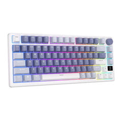 Mechanical keyboard Royal Kludge RKM75 RGB, Silver switch (blue) цена и информация | Клавиатуры | 220.lv