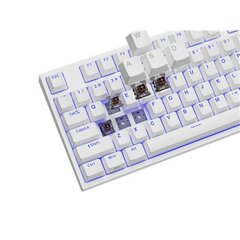 Klaviatūra Genesis Thor 404 TKL Kailh White cena un informācija | Klaviatūras | 220.lv