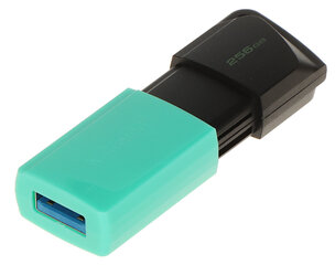 ATMIŅAS DZIESNIS FD-256/DTXM-KINGSTON 256&GB USB 3.2 Gen 1 cena un informācija | USB Atmiņas kartes | 220.lv