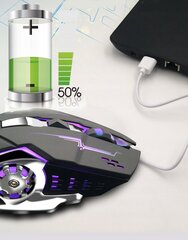 Bezvadu spēļu pele RGB Zenwire цена и информация | Мыши | 220.lv