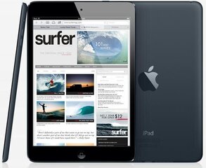 Apple iPad Mini 32GB Wifi (Klase A (Ļoti labs stāvoklis, lietots)) cena un informācija | Planšetdatori | 220.lv