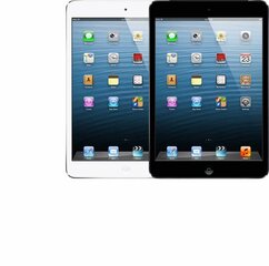 Apple iPad Mini 32GB WiFi + Cellular (Klase A (Ļoti labs stāvoklis, lietots)) cena un informācija | Planšetdatori | 220.lv