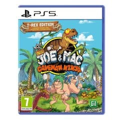 Видеоигры PlayStation 5 Microids Joe & Mac Caveman ninja цена и информация | Компьютерные игры | 220.lv