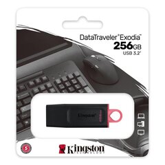 USB-накопитель Kingston USB Flash Drive DataTraveler Exodia 256 ГБ, USB 3.2 Gen 1, черный цена и информация | USB накопители | 220.lv