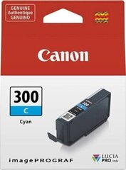 Canon 4194C001, синий цена и информация | Картриджи для струйных принтеров | 220.lv