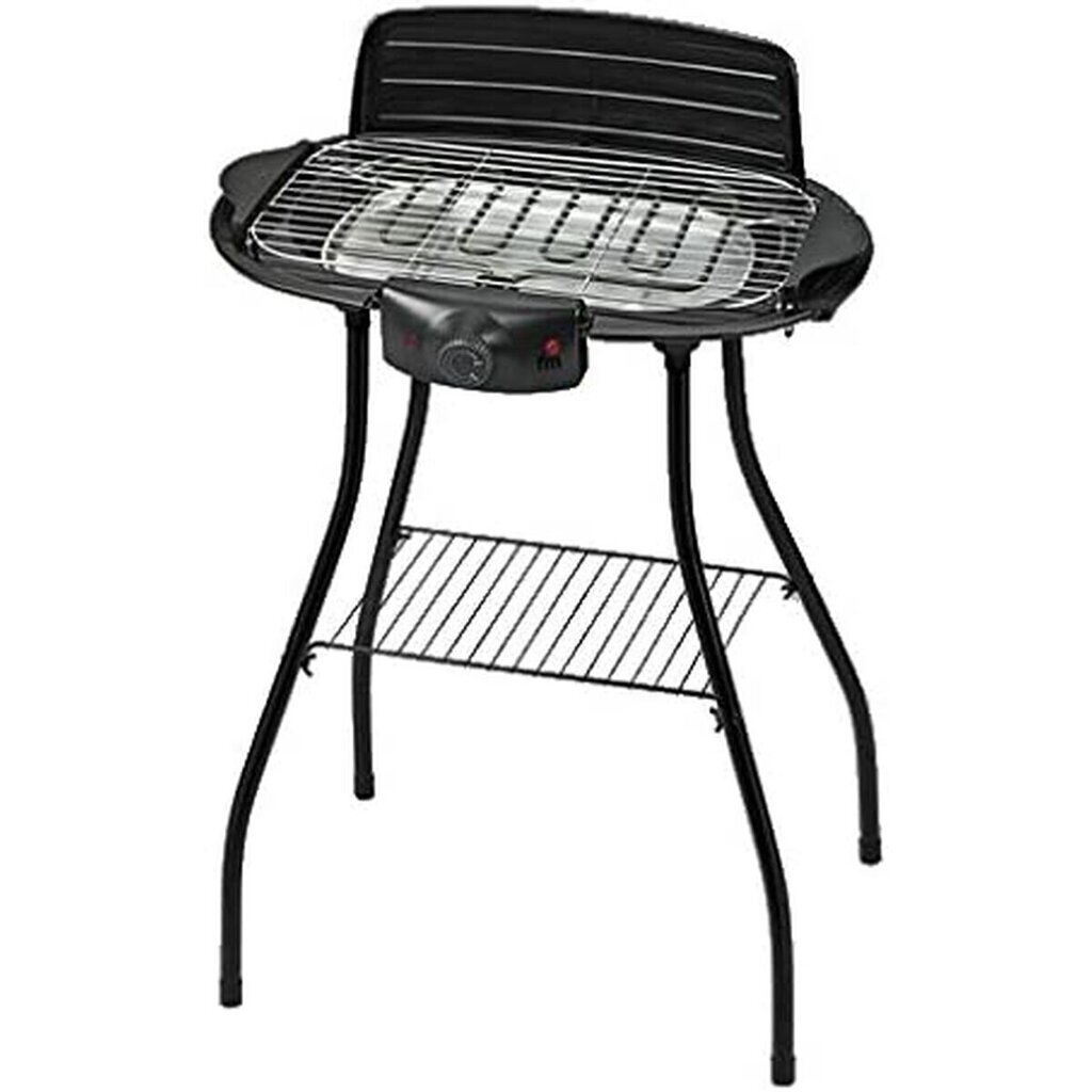 Barbekjū Grupo FM BE2000 2000 W (47 x 23 cm) цена и информация | Grili | 220.lv