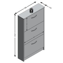 FMD apavu skapis ar 3 paceļamiem nodalījumiem, ozolkoka krāsā цена и информация | Полки для обуви, банкетки | 220.lv