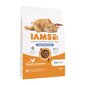 IAMS Advanced Nutrition Light/Sterilised sterilizētiem kaķiem, ar vistu, 10 kg цена и информация | Sausā barība kaķiem | 220.lv