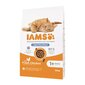 IAMS Advanced Nutrition Light/Sterilised sterilizētiem kaķiem, ar vistu, 10 kg цена и информация | Sausā barība kaķiem | 220.lv