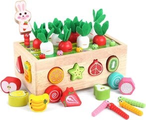 Koka rotaļlieta mazuļiem Montessori KMTJT cena un informācija | Rotaļlietas zīdaiņiem | 220.lv