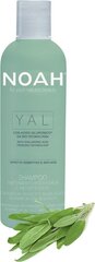 Омолаживающий, увлажняющий шампунь для волос с гиалуроновой кислотой и шалфеем Noah 250 мл цена и информация | Шампуни | 220.lv