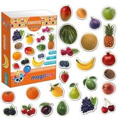 Magnētu komplekts Fruits Magdum, MV 6032-11, 8x5 cm, 3x4 cm cena un informācija | Kancelejas preces | 220.lv