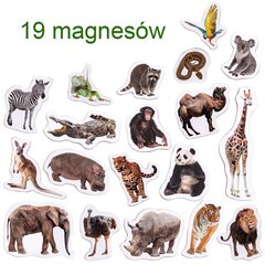 Izglītojošs magnētu komplekts Magdum Zoo, 19 gab. cena un informācija | Attīstošās rotaļlietas | 220.lv