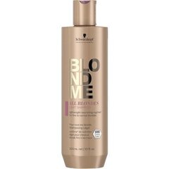 Шампунь для тонких и нормальных волос SCHWARZKOPF BLONDME ALL BLONDES LIGHT, 300мл цена и информация | Шампуни | 220.lv