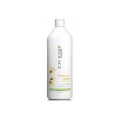 Izlīdzinošs matu kondicionieris Matrix Biolage Smoothproof Hair Conditioner, 1000 ml cena un informācija | Matu kondicionieri, balzāmi | 220.lv