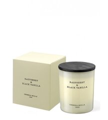 Cereria Mollá Aromātiskā krēmsvece Raspberry &amp; Black Vanilla (Candle) 230 g cena un informācija | Sveces un svečturi | 220.lv