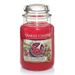 Aromātiska svece Yankee Candle Red Raspberry 623 g cena un informācija | Sveces un svečturi | 220.lv