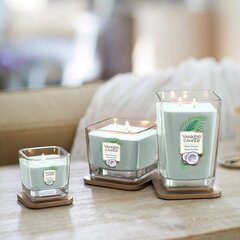 Aromātiskā svece Yankee Candle Shore Breeze 347g cena un informācija | Sveces un svečturi | 220.lv