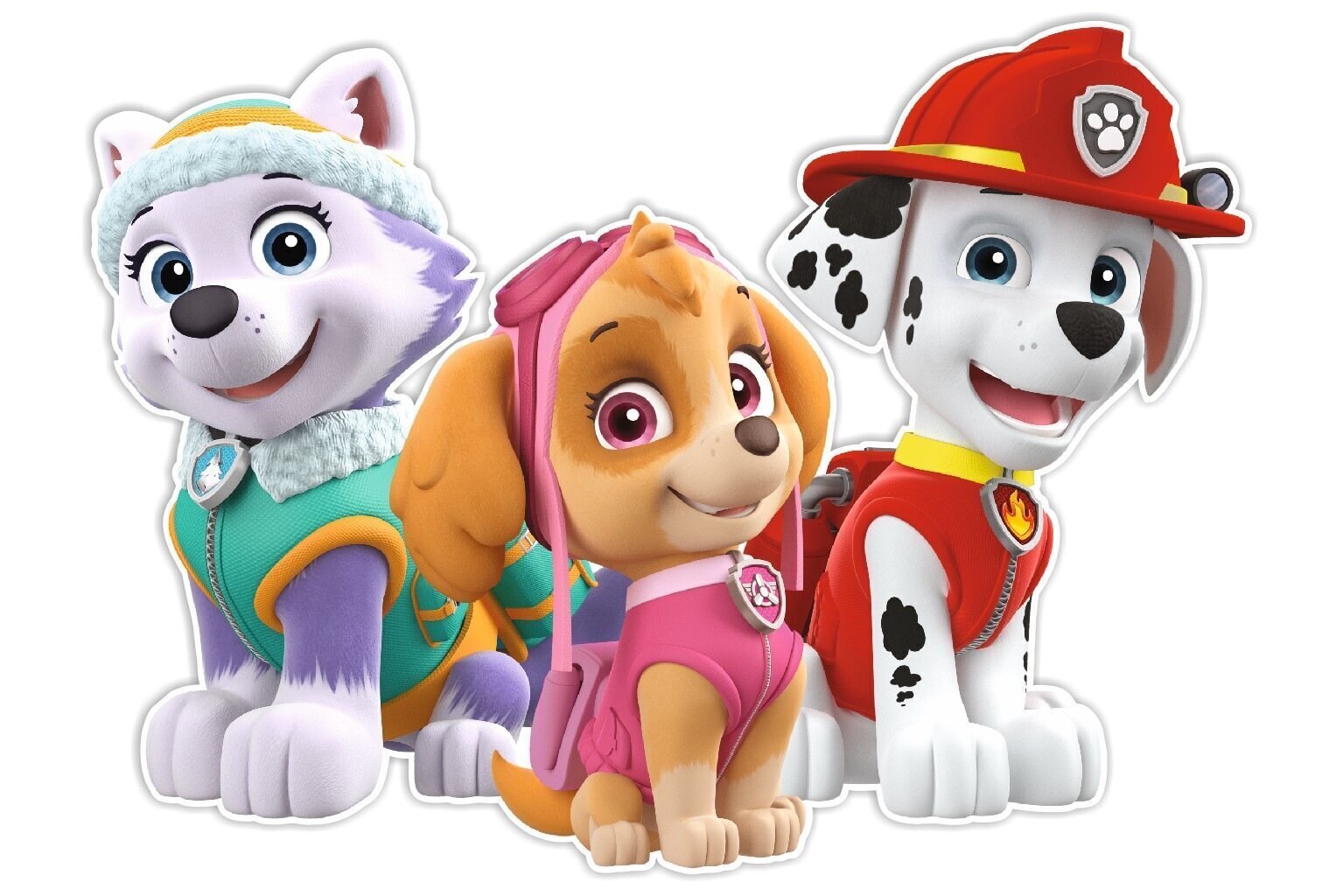 Divslāņu sienu apdare Paw Patrol - Everest, Skye, Marshall цена и информация | Dekoratīvās uzlīmes | 220.lv