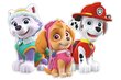 Divslāņu sienu apdare Paw Patrol - Everest, Skye, Marshall цена и информация | Dekoratīvās uzlīmes | 220.lv