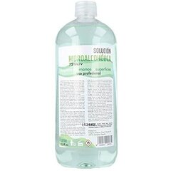 Hydroalcoholic solution Egalle (1000 ml) cena un informācija | Dušas želejas, eļļas | 220.lv