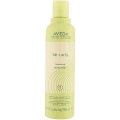 Увлажняющий шампунь для вьющихся волос Aveda Be Curly 250 мл цена и информация | Шампуни | 220.lv