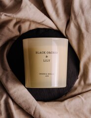 Cereria Mollá Aromātiskā krēmsvece Black Orchid &amp; Lily (Candle) 230 g cena un informācija | Sveces un svečturi | 220.lv